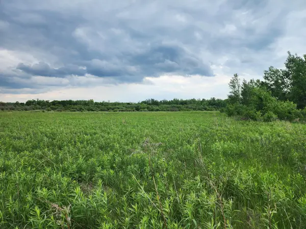 TBD Rice Road, Hinckley, MN 55037