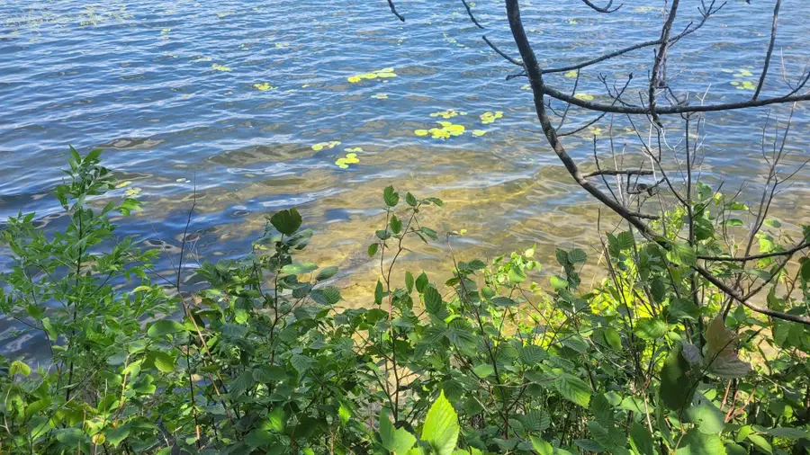 6920 County Road 8 Ne, Longville, MN 56655 - Image #3