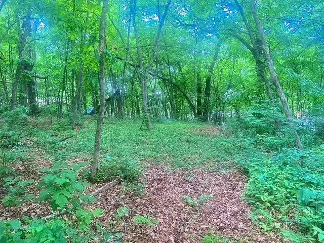 TBD 98th Street Nw, Zimmerman, MN 55398 - Image #2