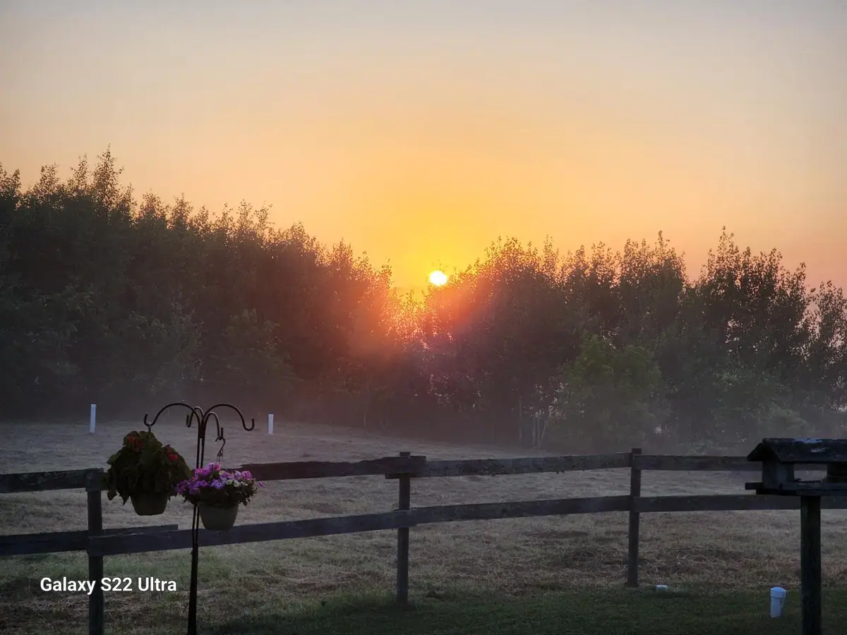 9091 52nd Street Sw, Verndale, MN 56481 - Image #1