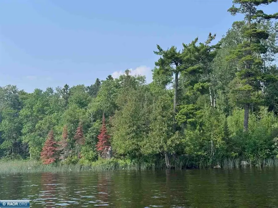 TBD Lake Vermilion N, Tower, MN 55790 - #2
