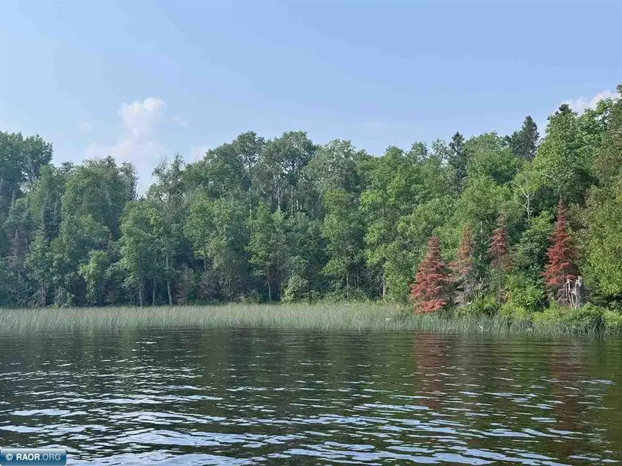 TBD Lake Vermilion N, Tower, MN 55790 - #3