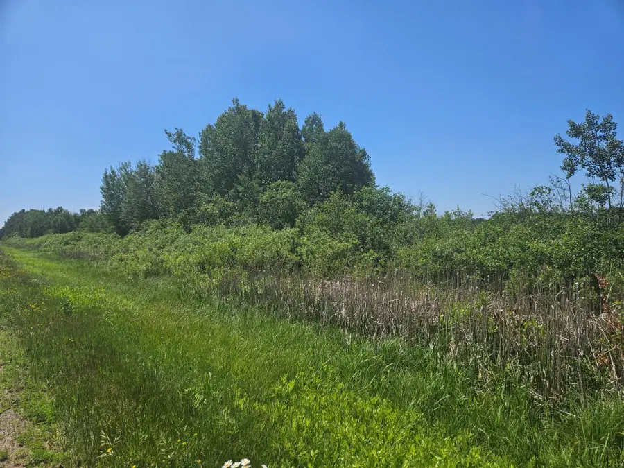 xxx County Road 32, Aitkin, MN 56431 - #2