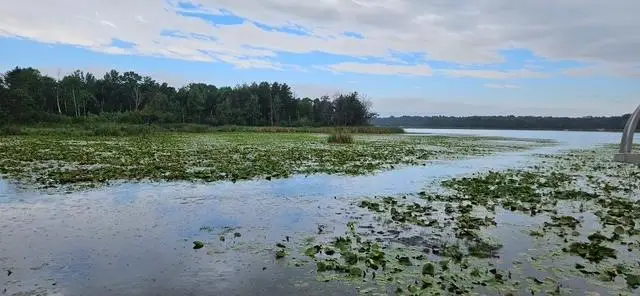 XXXX Forthun Road, Baxter, MN 56425 - #1