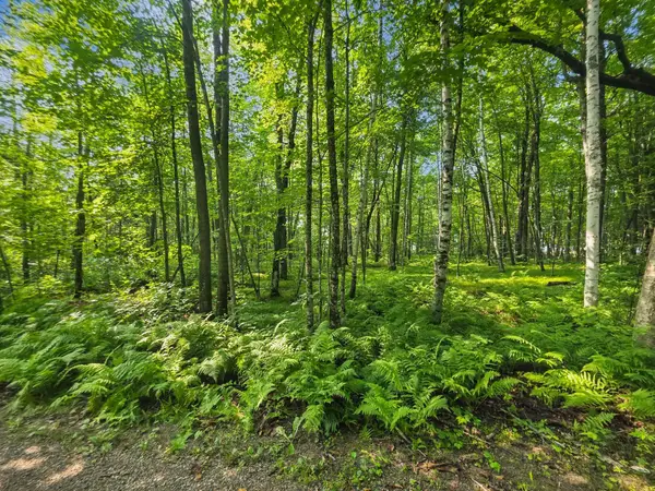 28017 303rd Place, Aitkin, MN 56431