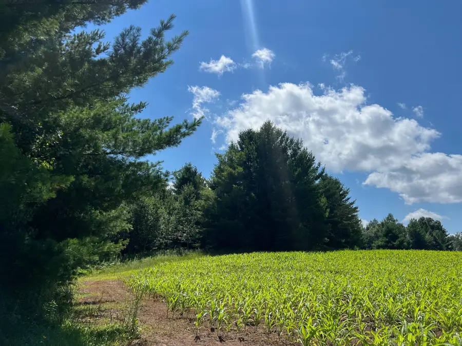 xxxxx Lily Lake Inn Road, Webster, WI 54893 - Image #3