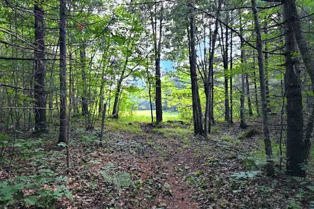 12207 E Railroad Road, Lake Nebagamon, WI 54849 - Image #3