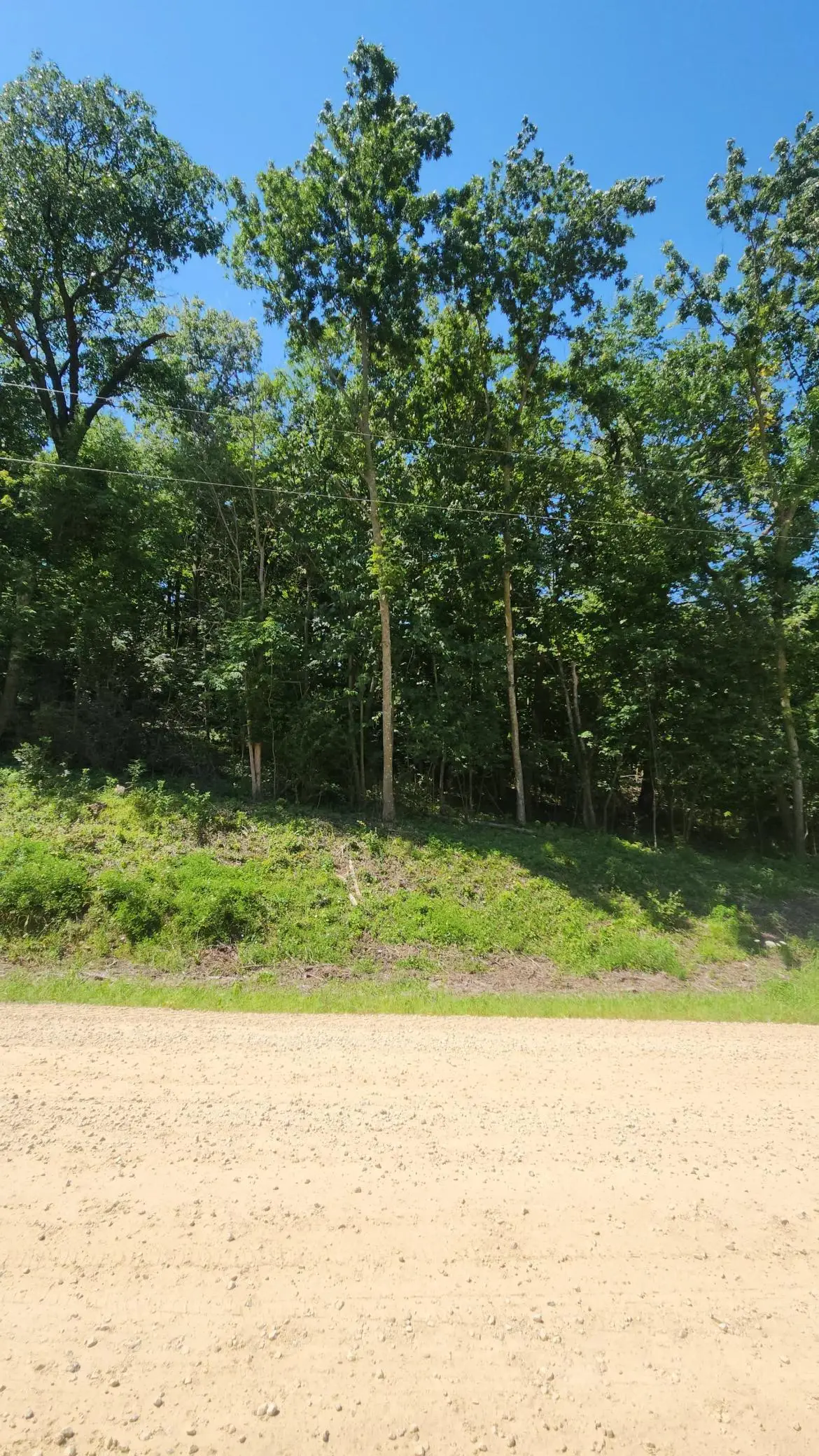 XXXX Cedar Beach Drive Nw, Oronoco, MN 55960 - #1