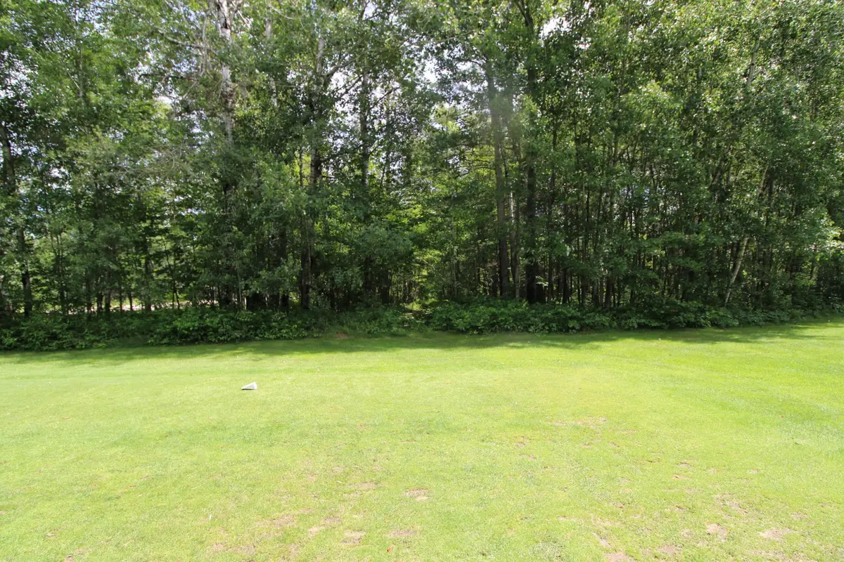 Tract A County Road 1, Emily, MN 56447 - #1