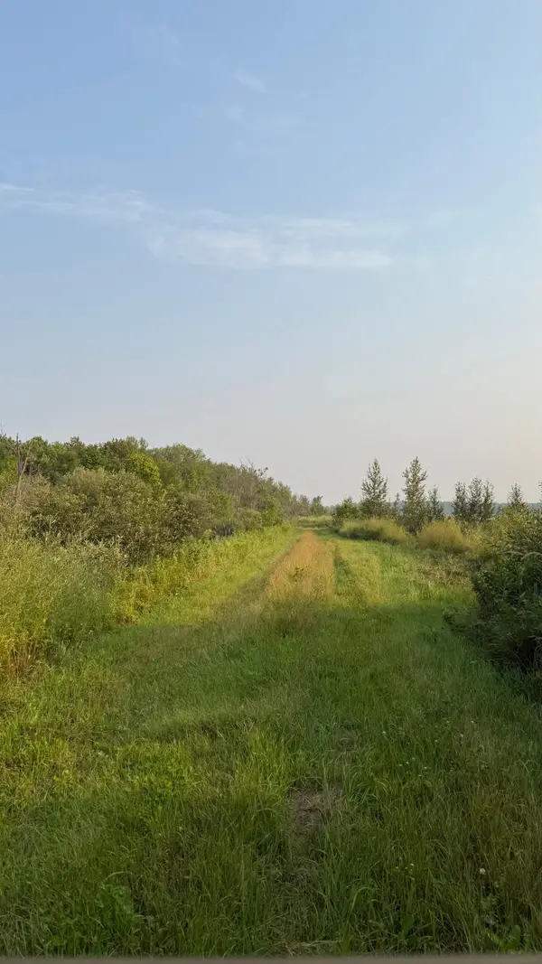 TBD160 Sunflower Road, Kelliher, MN 56650