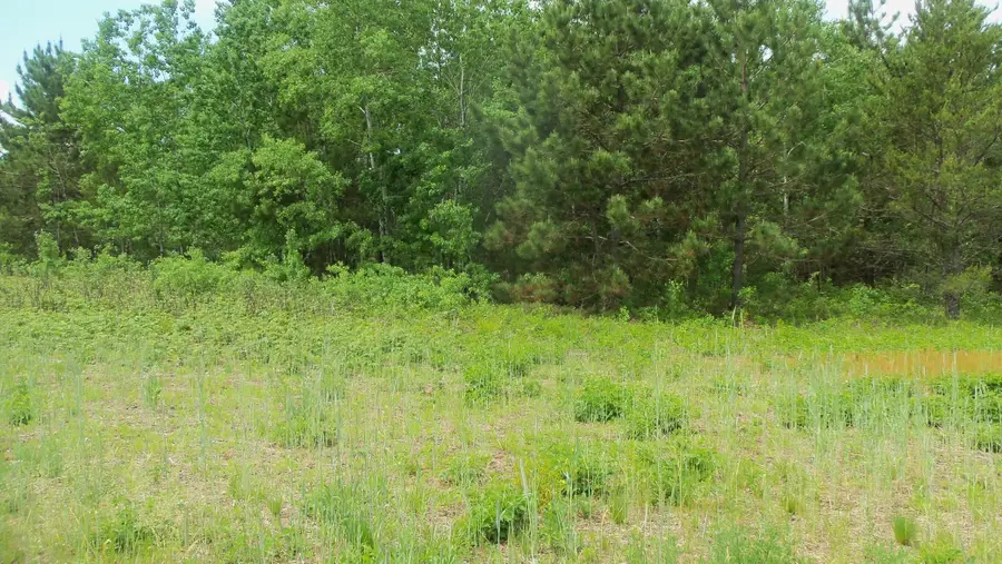 Lot 21 Maple Ln, Siren, WI 54872 - Image #3