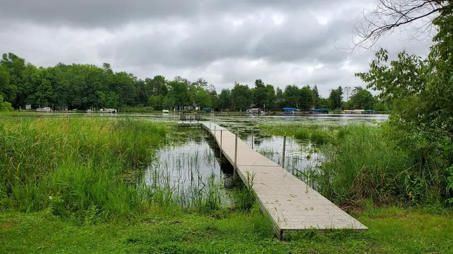 31859 443rd Lane, Palisade, MN 56469 - #2