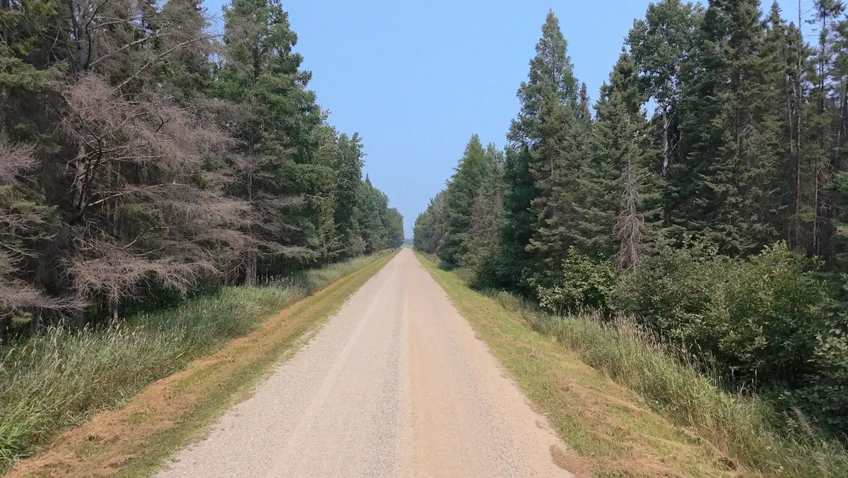 TBD 80 Acres Sunflower Road Ne, Kelliher, MN 56650 - Image #1