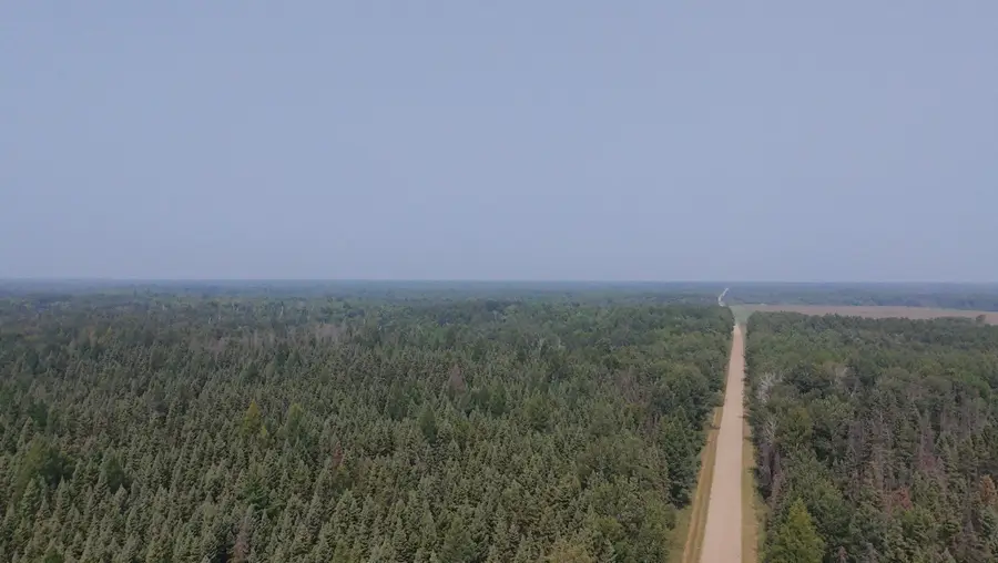 TBD 80 Acres Sunflower Road Ne, Kelliher, MN 56650 - Image #2