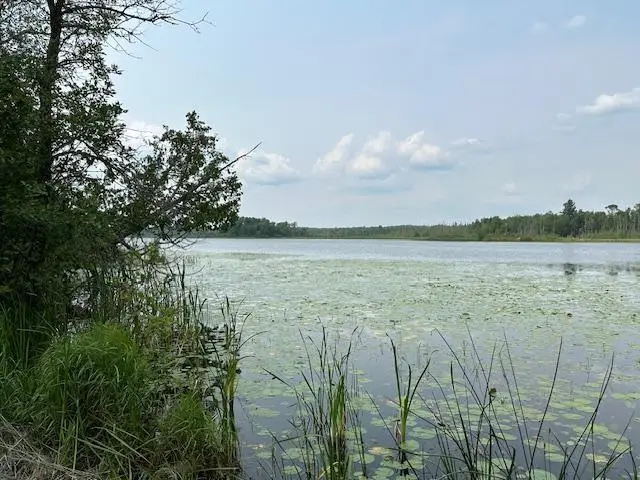 TBD Jola Road, Eveleth, MN 55734 - #1