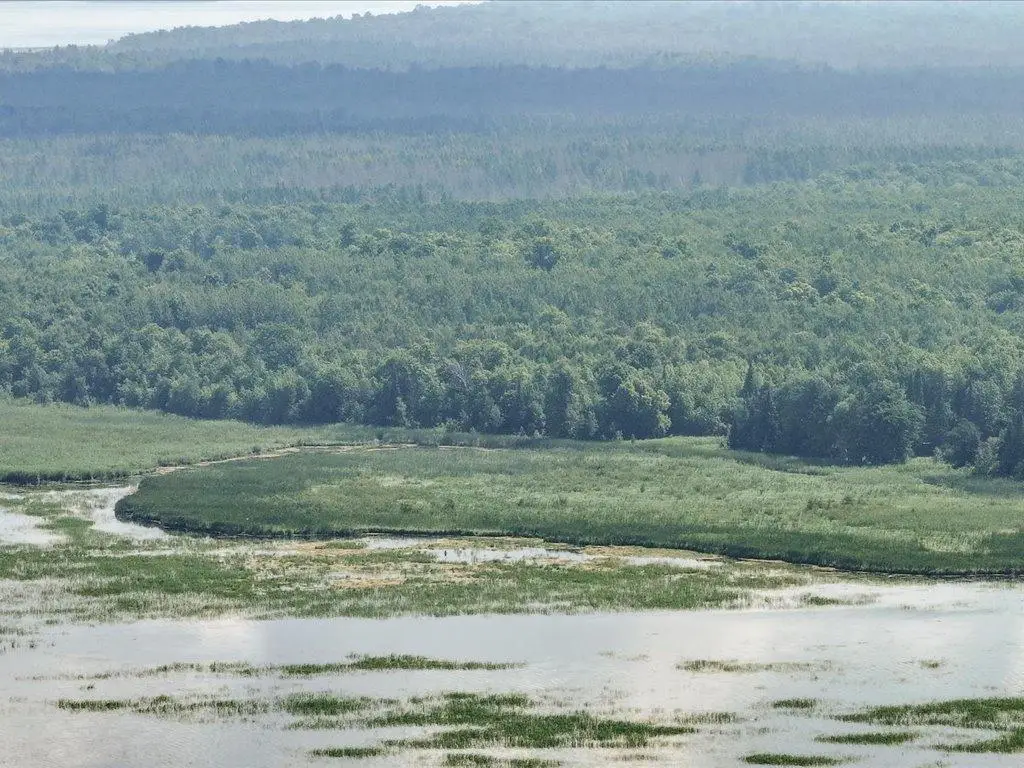 7998 Headquarters Drive Ne, Longville, MN 56655 - Image #1