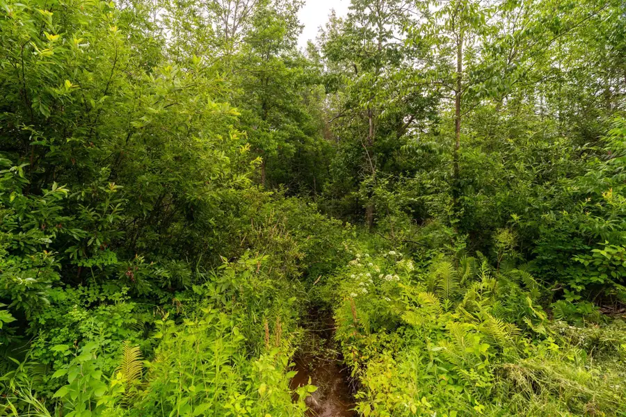 XX Torma Road, Esko, MN 55733 - Image #3