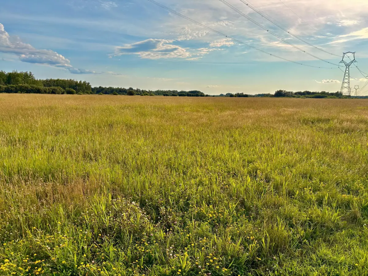 TBD 13th Ave Sw, Baudette, MN 56623 - Image #1