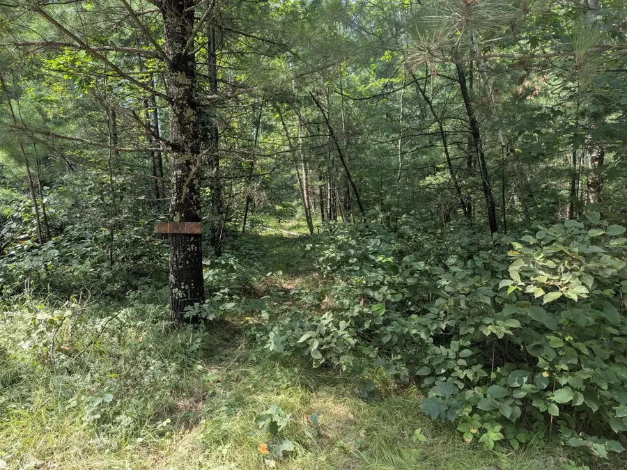 TBD Dobosenski Road, Sturgeon Lake, MN 55783 - Image #2