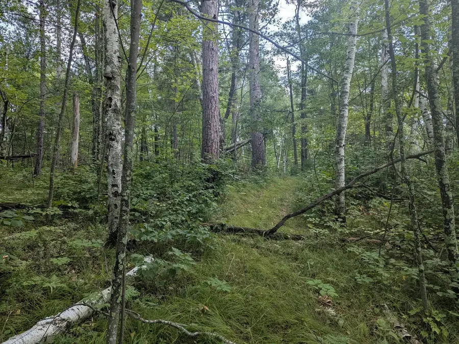 TBD Dobosenski Road, Sturgeon Lake, MN 55783 - Image #3