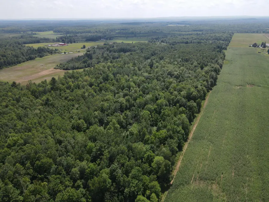 TBD County Road M, Ogema, WI 54459 - Image #3