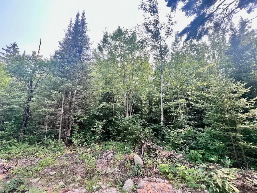 Parcel B Vermilion Lake Rd, Cook, MN 55723 - Image #2