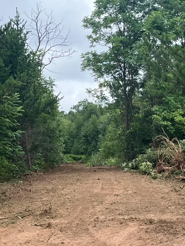 XXX Bluebird Trail, Webster, WI 54893