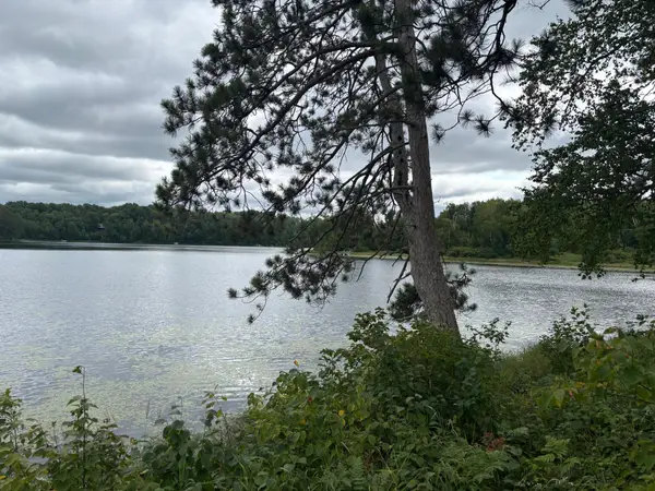 TBD Andrus Lake Trail Ne, Outing, MN 56662