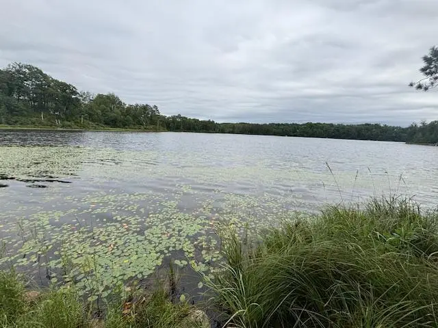 TBD Andrus Lake Trail Ne, Outing, MN 56662 - Image #2