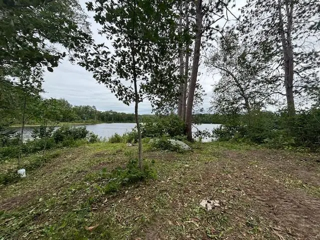 TBD Andrus Lake Trail Ne, Outing, MN 56662 - Image #3