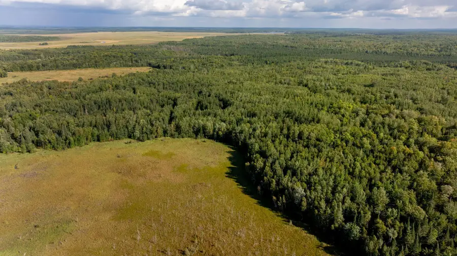 TBD Boy Lake Drive Ne, Remer, MN 56672 - Image #2