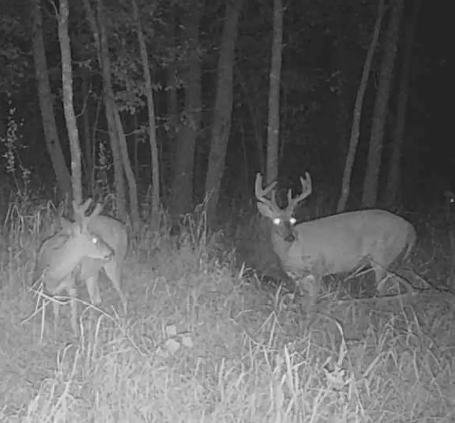 Lot 5 Butternut Road, Brainerd, MN 56401 - #2