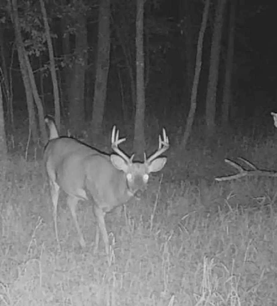 Lot 5 Butternut Road, Brainerd, MN 56401 - #3