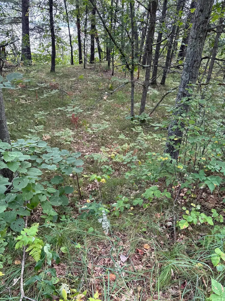 Lot 77 Airport Road, Breezy Point, MN 56472 - Image #3