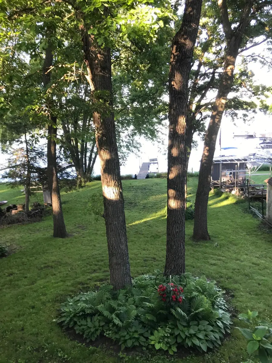 11414 54th Street Se, Clear Lake, MN 55319 - #2