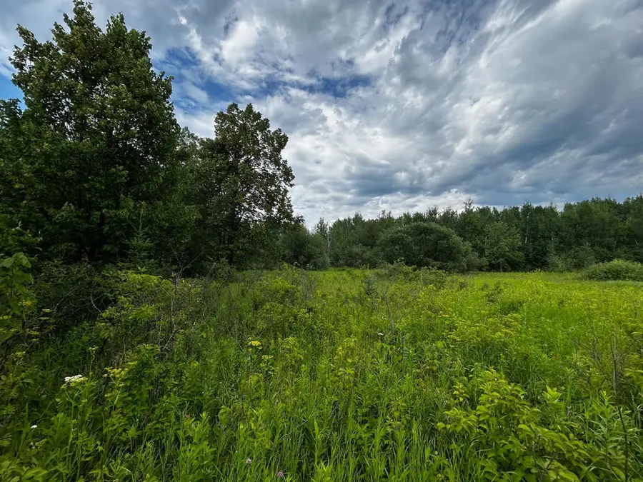 TBD Ash Street, Federal Dam, MN 56641 - Image #2