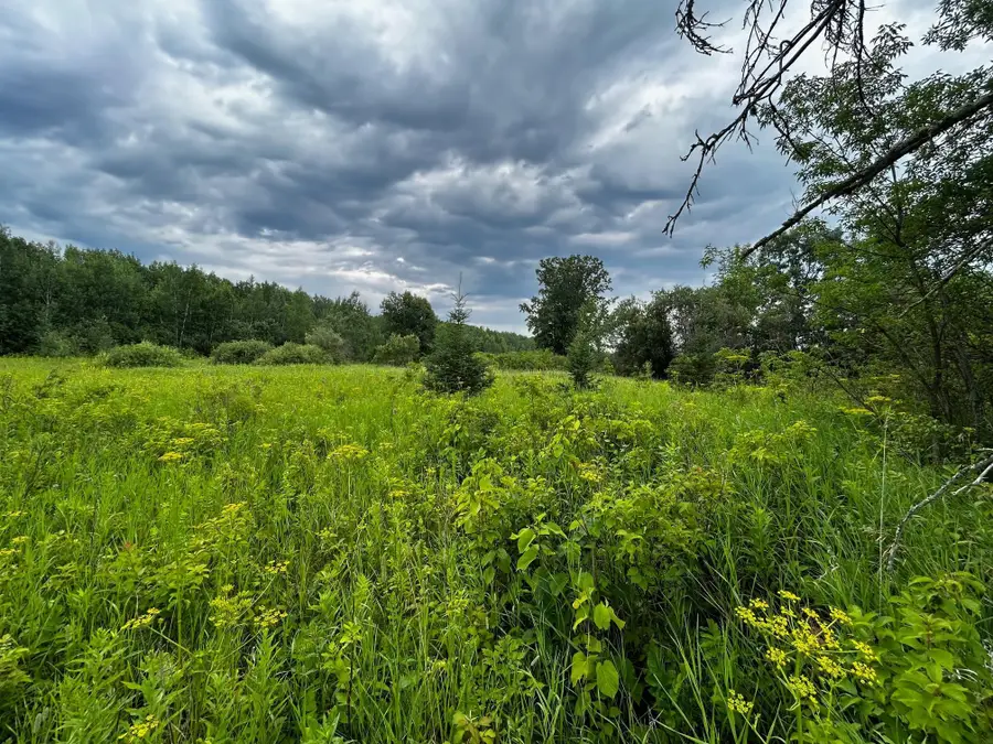 TBD Ash Street, Federal Dam, MN 56641 - Image #3