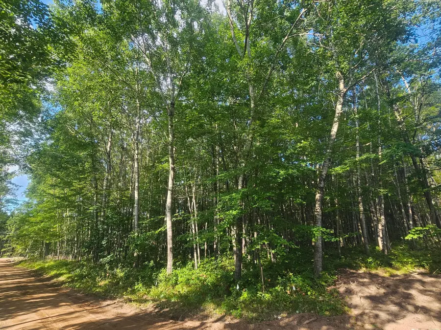Lot 1 Ken Can Lane, Webster, WI 54893 - Image #2