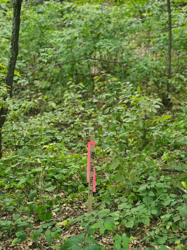 Tract C Richfield Road Sw, Pillager, MN 56473