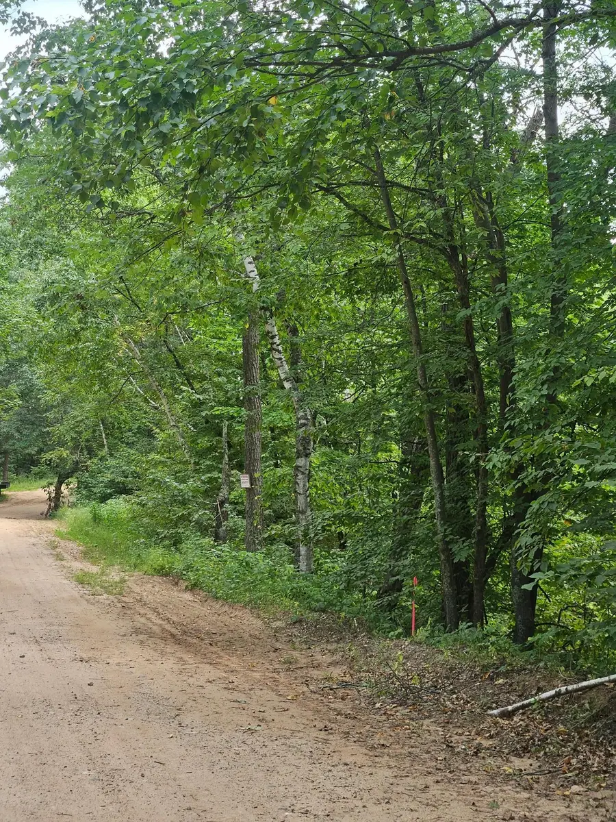 Tract C Richfield Road Sw, Pillager, MN 56473 - #2