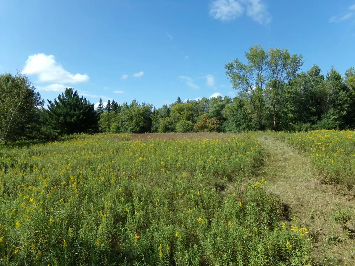 67xx Old Sawmill Road, Harris, MN 55032 - #1