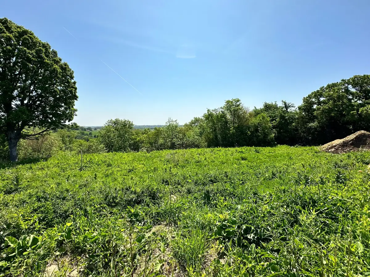936 Overlook Drive, Preston, MN 55965 - #1