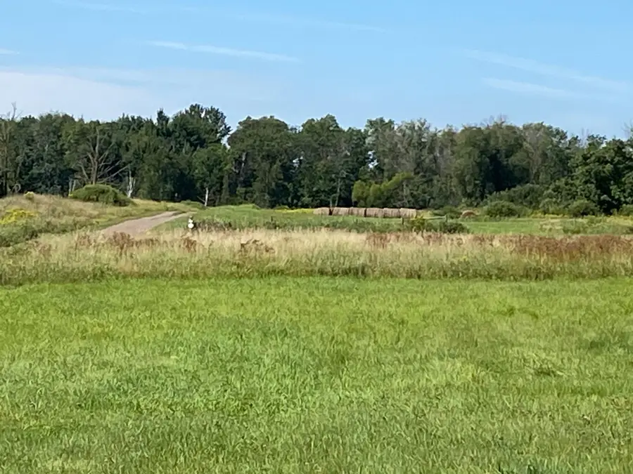 170xx Ivy Road, Milaca, MN 56353 - #3