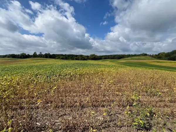 TBD Placid Dr, Dent, MN 56573