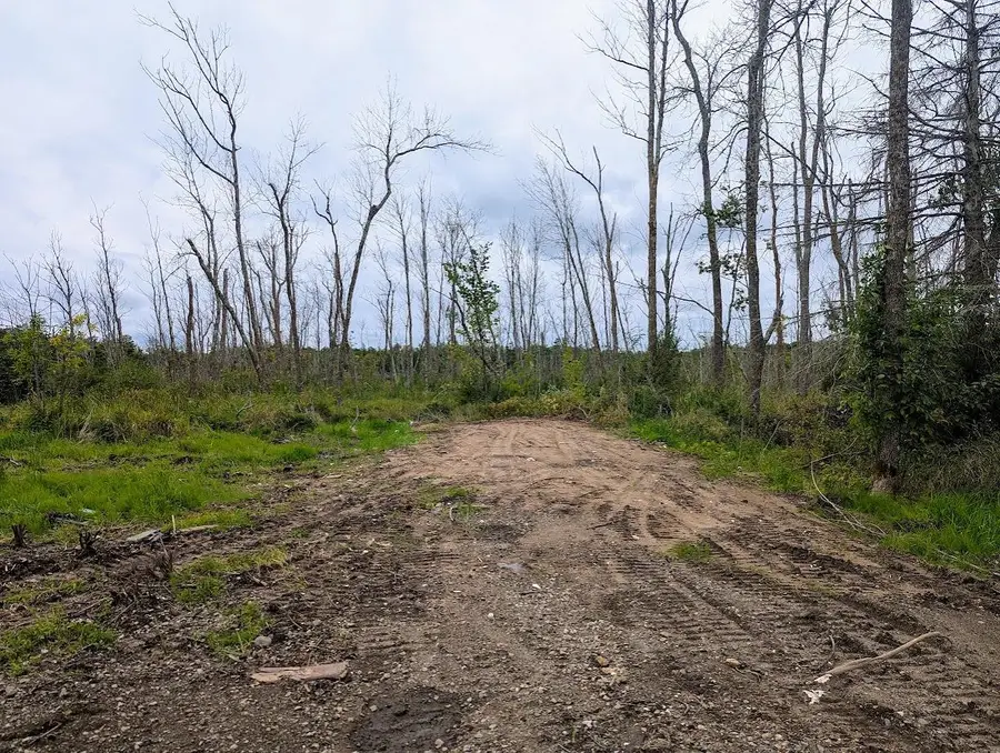 25627 310th Place, Aitkin, MN 56431 - Image #2