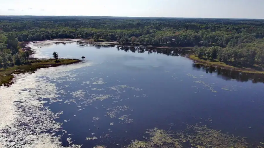 30057 Crystal Lake Drive, Webb Lake, WI 54830 - Image #2