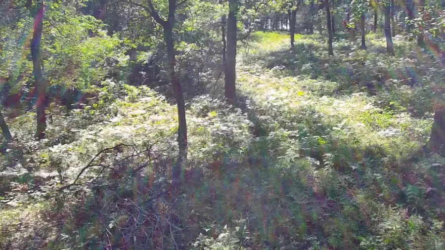 30057 Crystal Lake Drive, Webb Lake, WI 54830 - Image #3