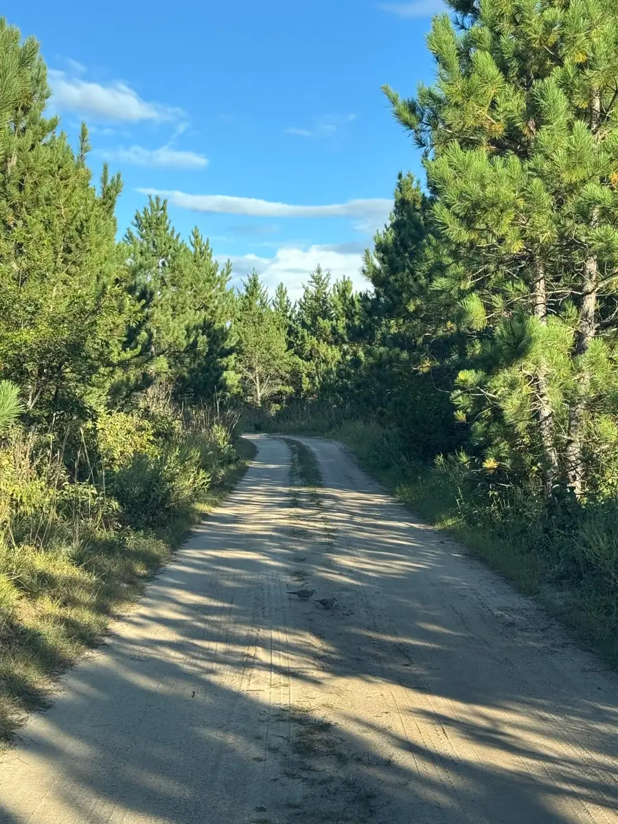 25333 196th Street, Staples, MN 56479 - Image #2