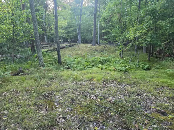 TBD 484th Street, Mcgregor, MN 55760