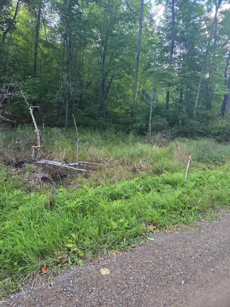 TBD 484th Street, McGregor, MN 55760 - Image #3